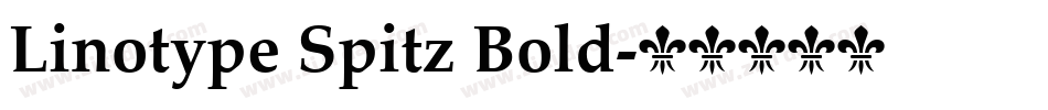 Linotype Spitz Bold字体转换